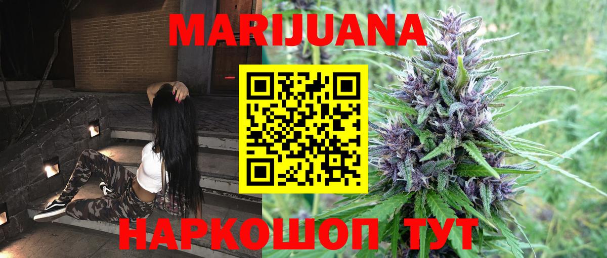 Конопля план Благодарный